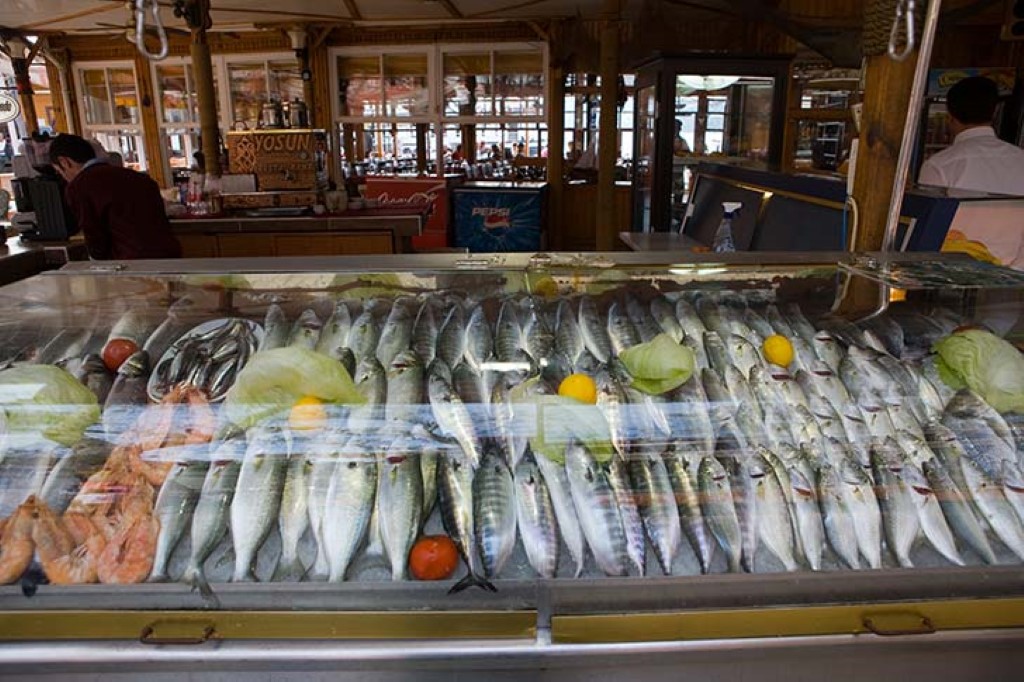 Fresh Fish For Sale