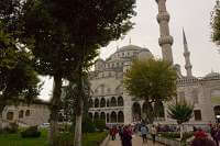 mosque and trees